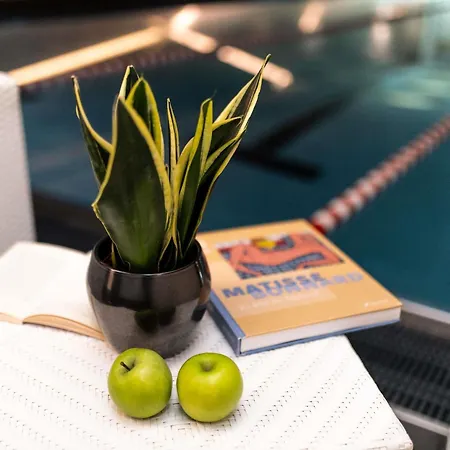 سوفيتل أوبرا فرانكفورت