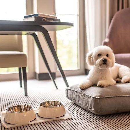 Отель Sofitel Frankfurt Opera