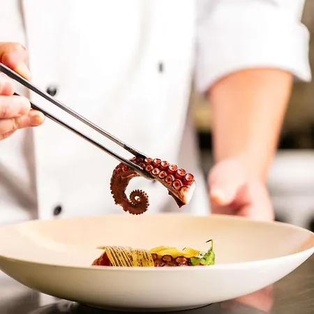 酒店 法兰克福歌剧院索菲特酒店 美因河畔法兰克福